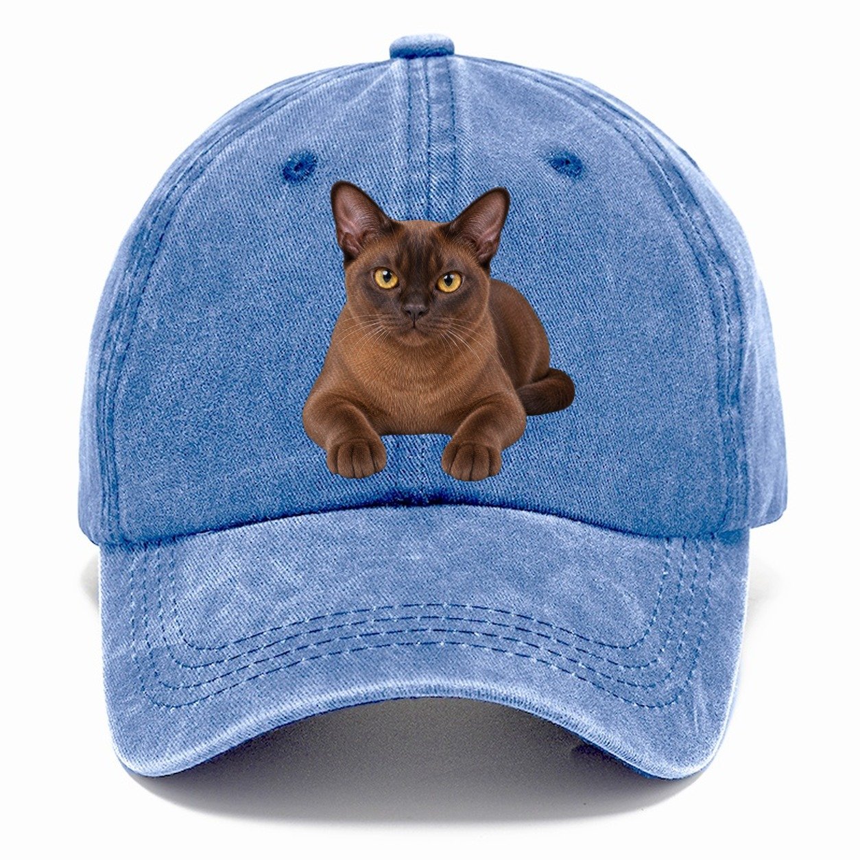 Burmese Reclining Paws Forward Realistic Cat Portrait Classic Cap – Summer Sky
