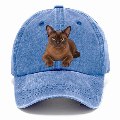Burmese Reclining Paws Forward Realistic Cat Portrait Classic Cap – Summer Sky