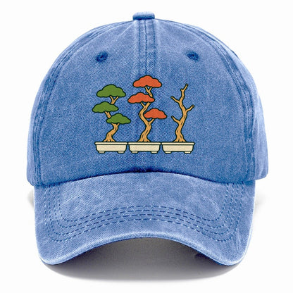 Three Season Set Bonsai Classic Cap – Summer Sky