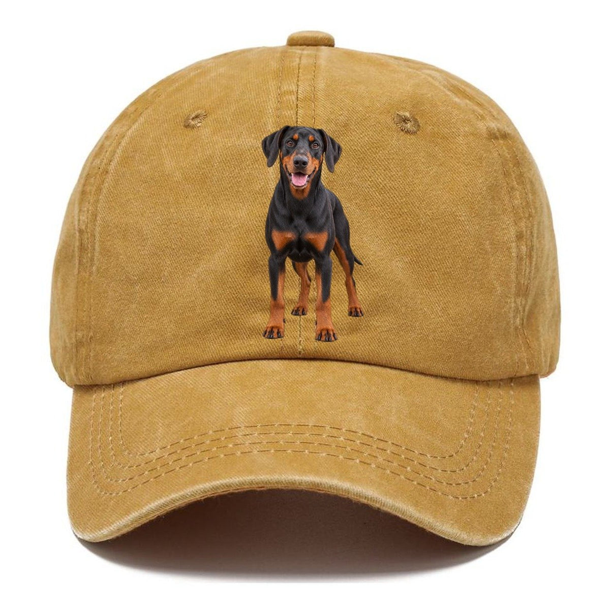 Doberman Pinscher Standing Front Facing Top Breeds Classic Cap – Golden Harvest