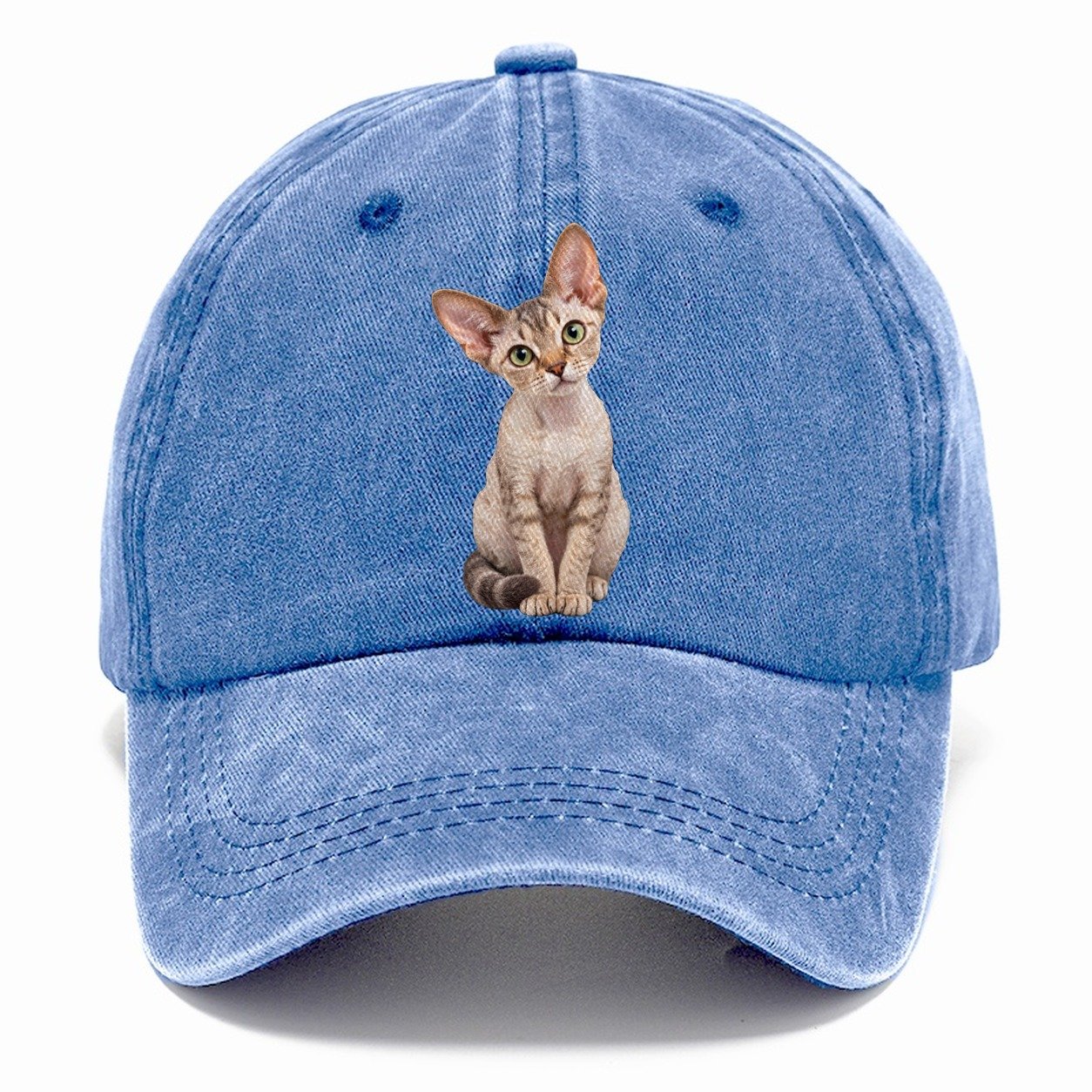 Devon Rex Seated Portrait Realistic Cat Portrait Classic Cap – Summer Sky
