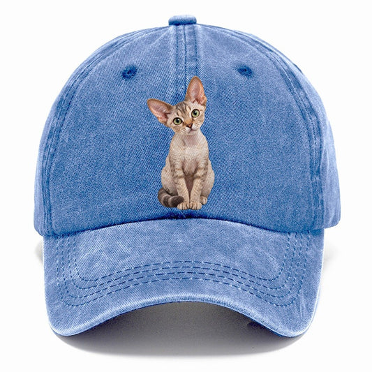 Devon Rex Seated Portrait Realistic Cat Portrait Classic Cap – Summer Sky