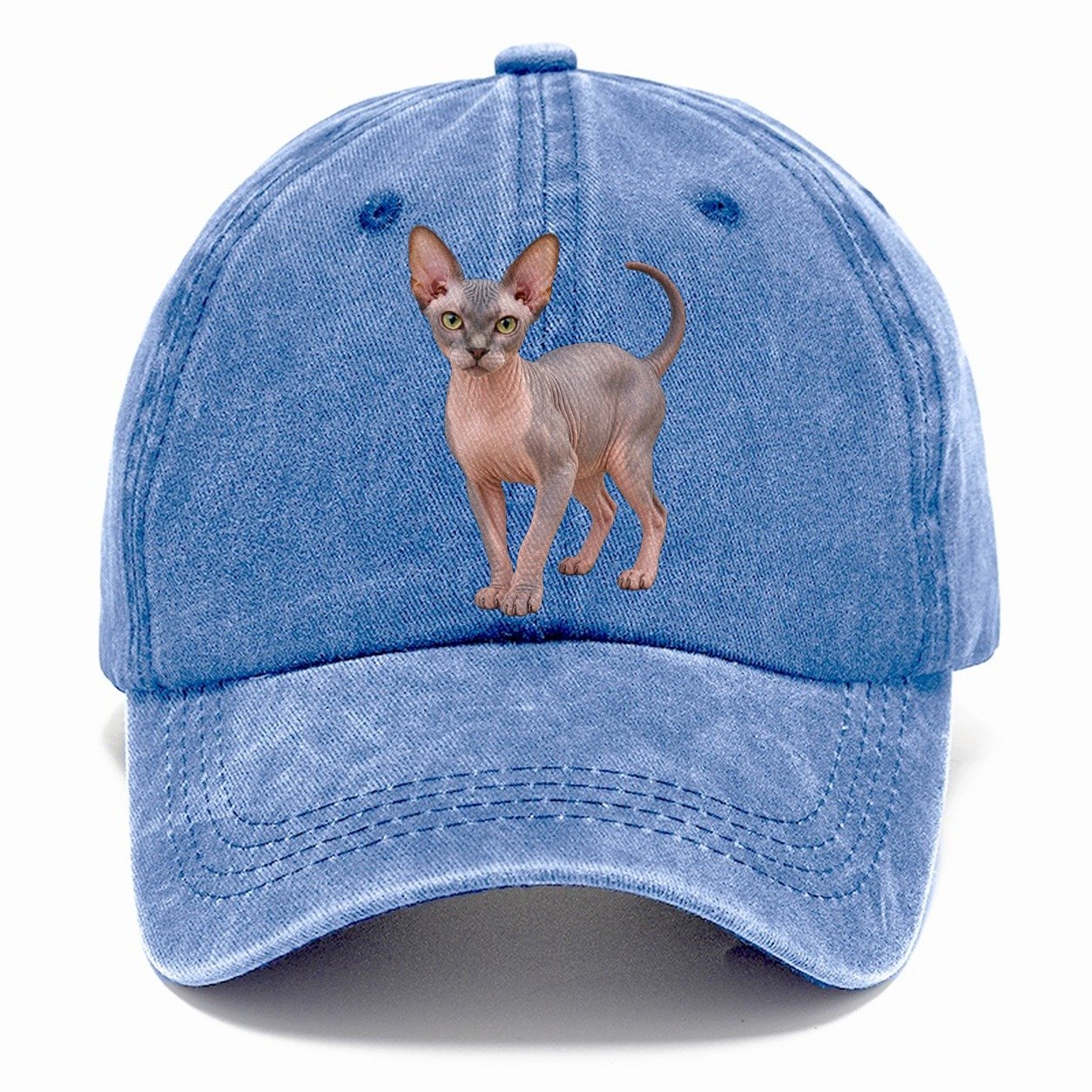 Sphynx Standing Three Quarter Realistic Cat Portrait Classic Cap – Summer Sky