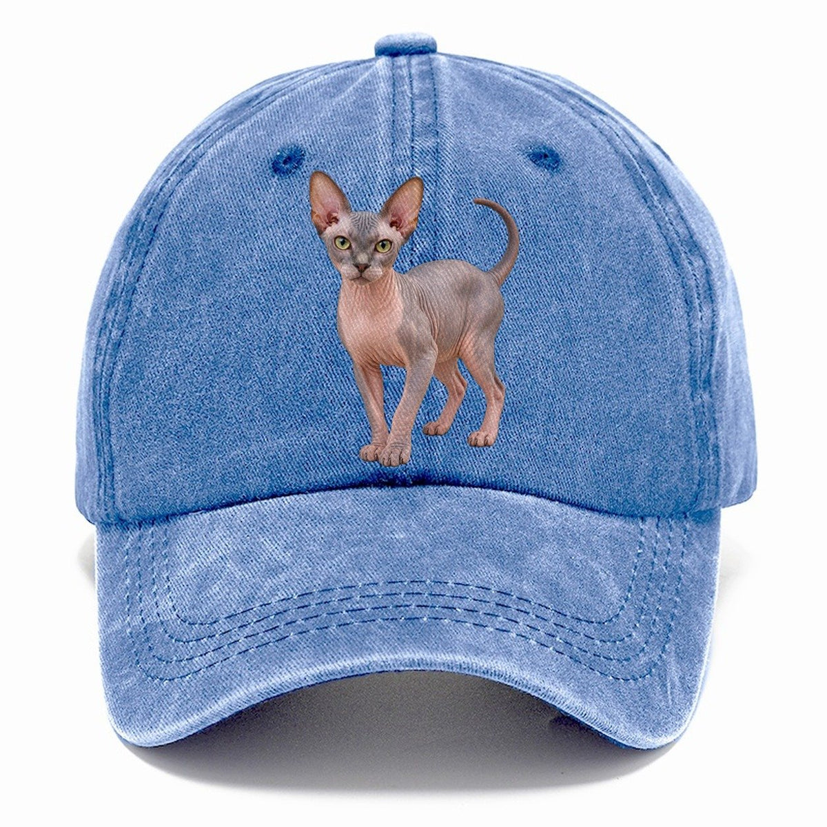 Sphynx Standing Three Quarter Realistic Cat Portrait Classic Cap – Summer Sky
