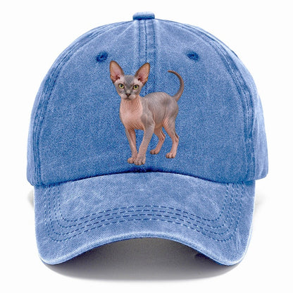 Sphynx Standing Three Quarter Realistic Cat Portrait Classic Cap – Summer Sky