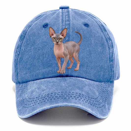 Sphynx Standing Three Quarter Realistic Cat Portrait Classic Cap – Summer Sky