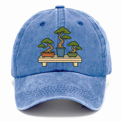 Bench Of Three Pots Bonsai Classic Cap – Summer Sky