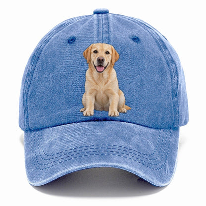 Labrador Retriever Sitting Top Breeds Classic Cap – Summer Sky