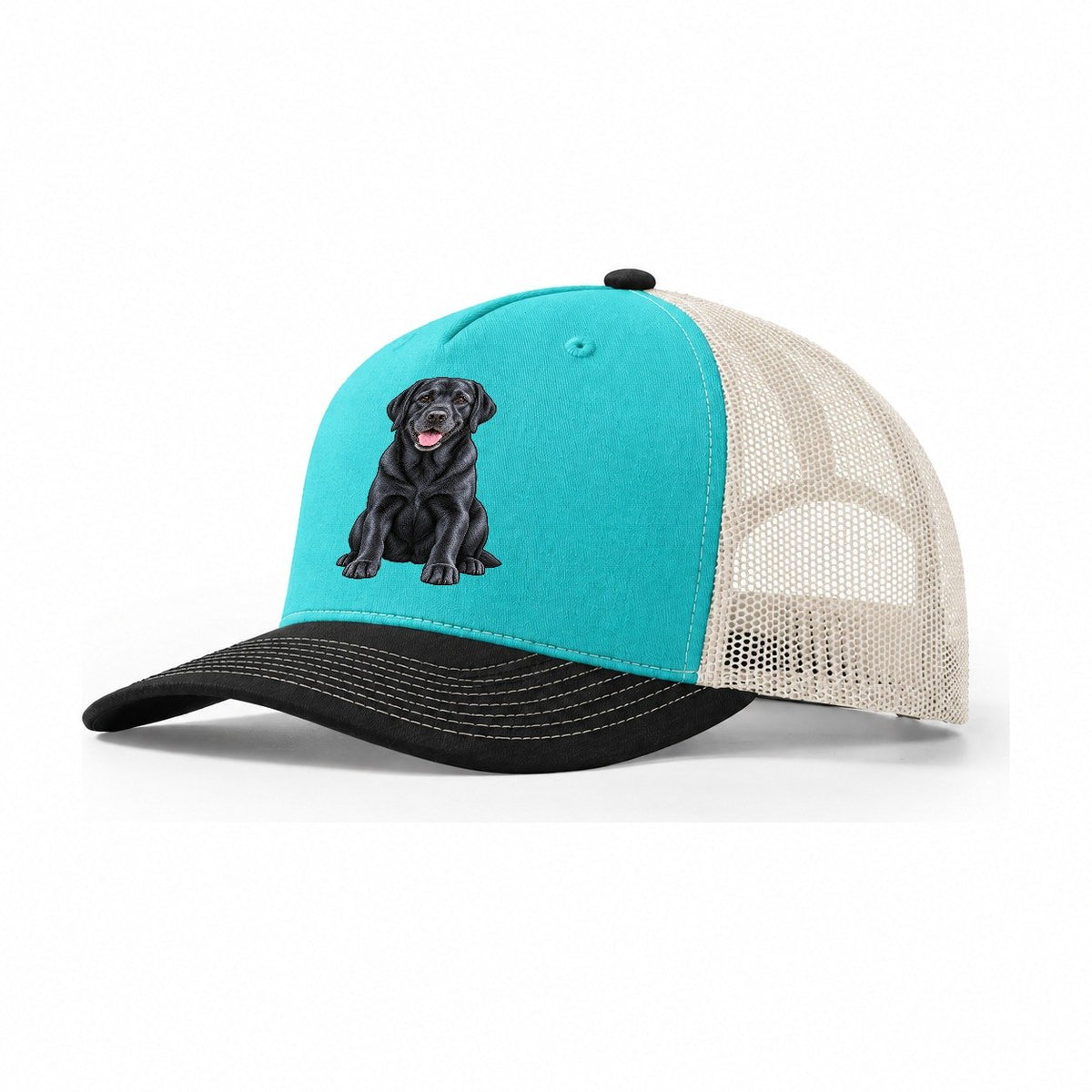 Black Labrador Sitting Trucker Hat – Aqua Black White