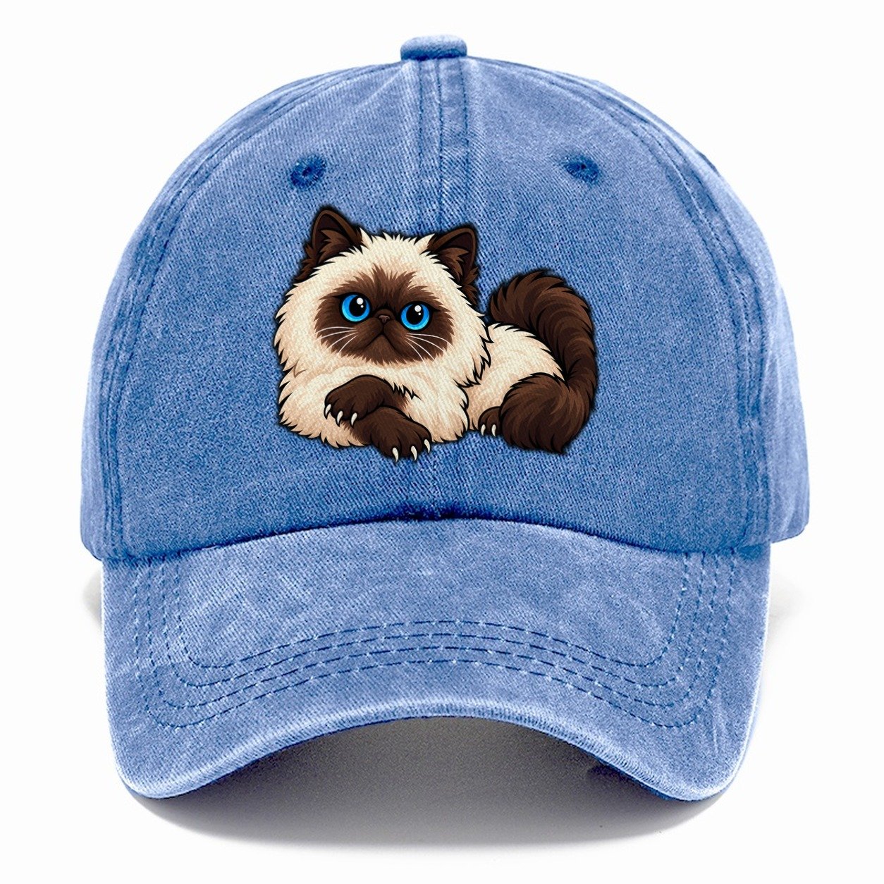 Himalayan Lounging Peeking Cats Classic Cap – Summer Sky