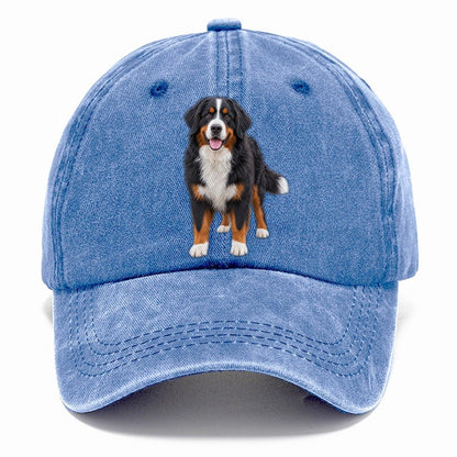 Bernese Mountain Dog Standing Top Breeds Classic Cap – Summer Sky