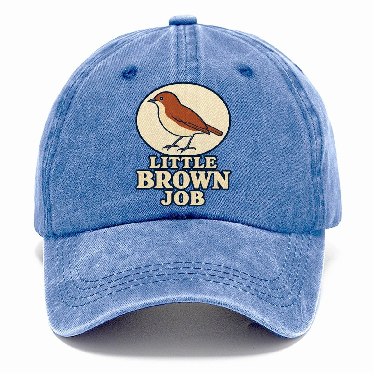 Little Brown Job Birdwatching Classic Cap – Summer Sky