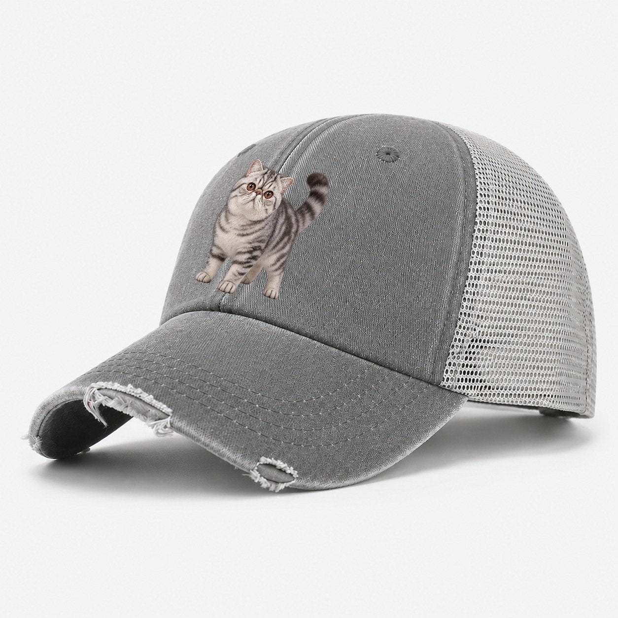 Exotic Shorthair Standing Three Quarter Realistic Cat Portrait Washed Trucker Hat – Grey