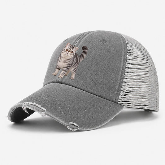 Exotic Shorthair Standing Three Quarter Realistic Cat Portrait Washed Trucker Hat – Grey