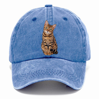 Bengal Seated Portrait Realistic Cat Portrait Classic Cap – Summer Sky