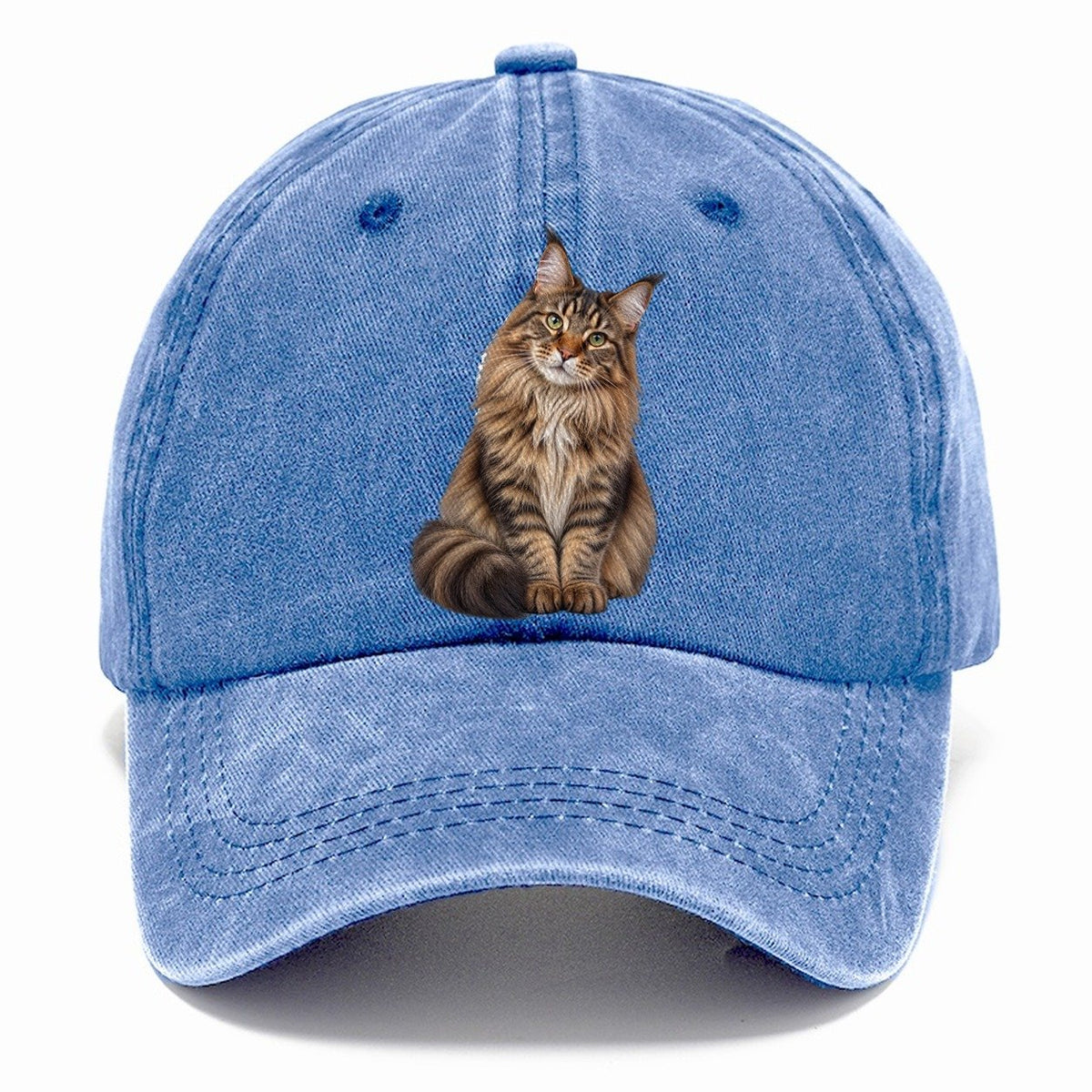 Maine Coon Seated Portrait Realistic Cat Portrait Classic Cap – Summer Sky