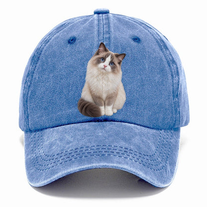 Ragdoll Seated Portrait Realistic Cat Portrait Classic Cap – Summer Sky