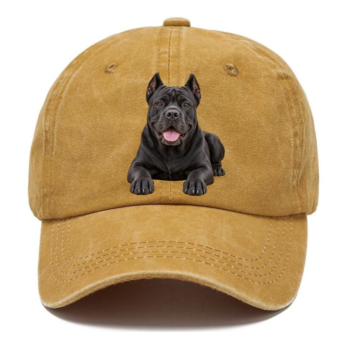 Cane Corso Lying Down Top Breeds Classic Cap – Golden Harvest