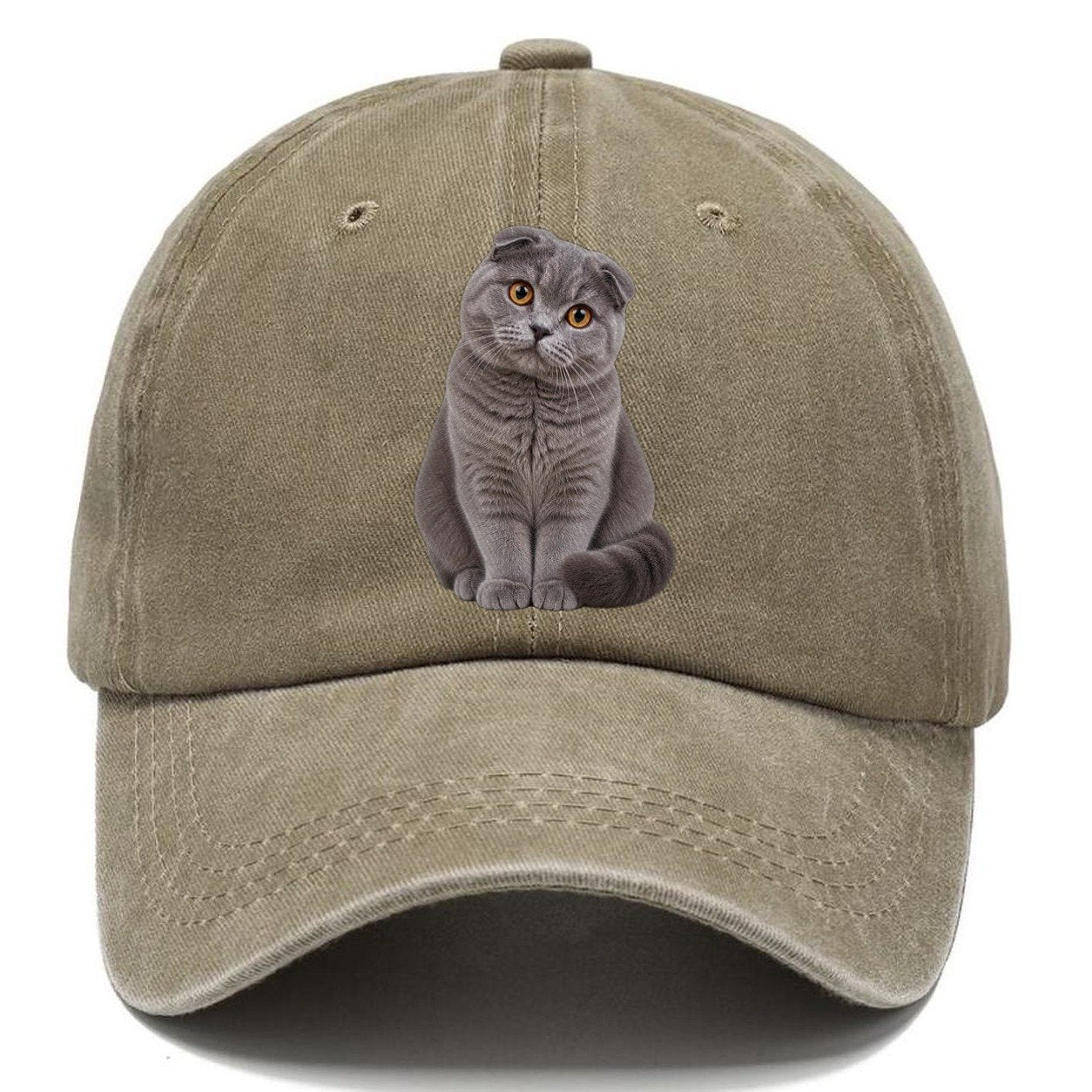 Scottish Fold Seated Portrait Realistic Cat Portrait Classic Cap – Warm Sand