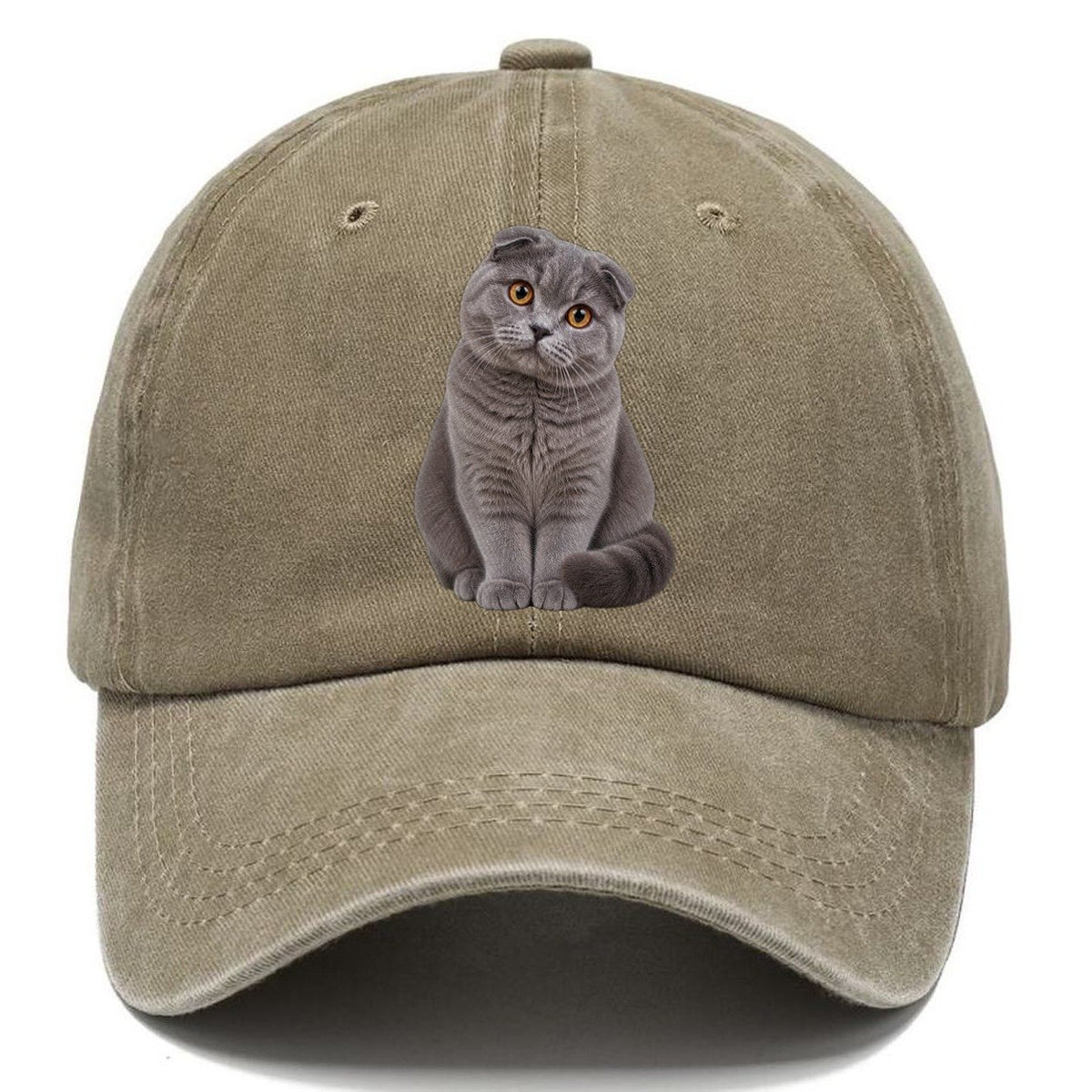 Scottish Fold Seated Portrait Realistic Cat Portrait Classic Cap – Warm Sand