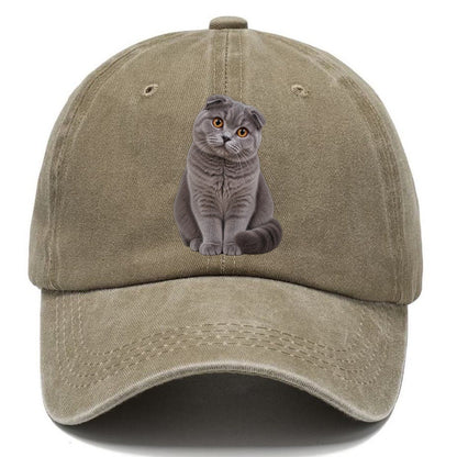 Scottish Fold Seated Portrait Realistic Cat Portrait Classic Cap – Warm Sand