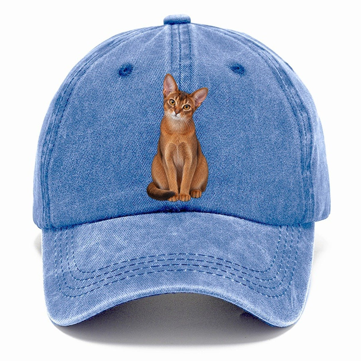 Abyssinian Seated Portrait Realistic Cat Portrait Classic Cap – Summer Sky