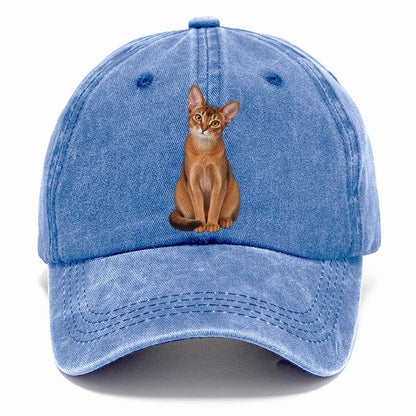 Abyssinian Seated Portrait Realistic Cat Portrait Classic Cap – Summer Sky