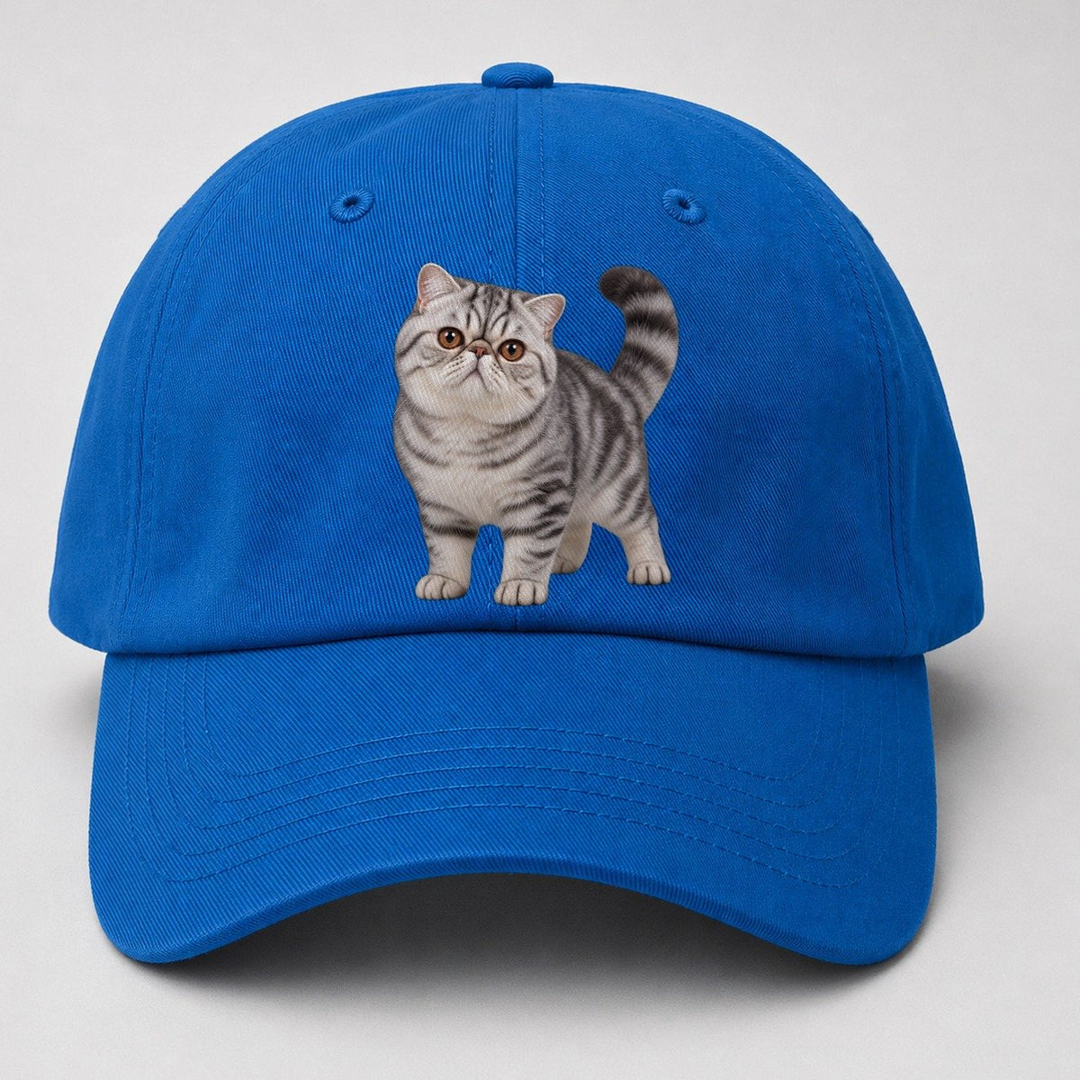 Exotic Shorthair Standing Three Quarter Realistic Cat Portrait Baseball Cap – Blue