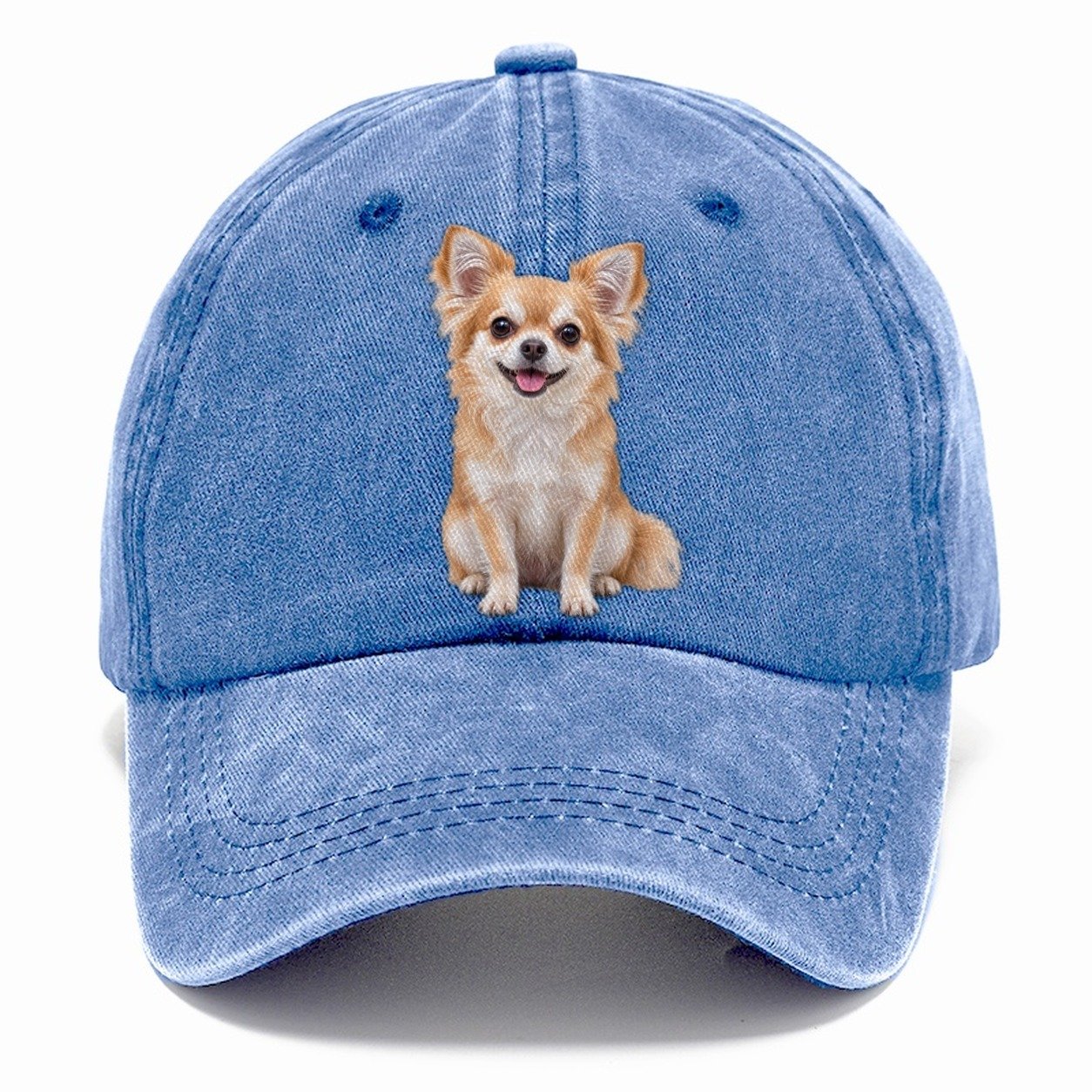 Chihuahua Sitting Top Breeds Classic Cap – Summer Sky