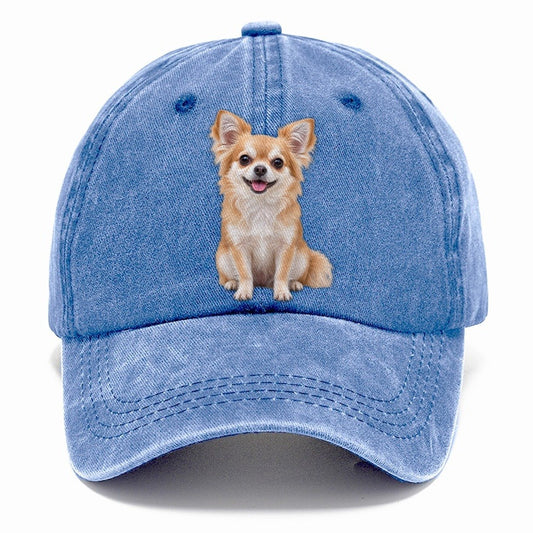 Chihuahua Sitting Top Breeds Classic Cap – Summer Sky