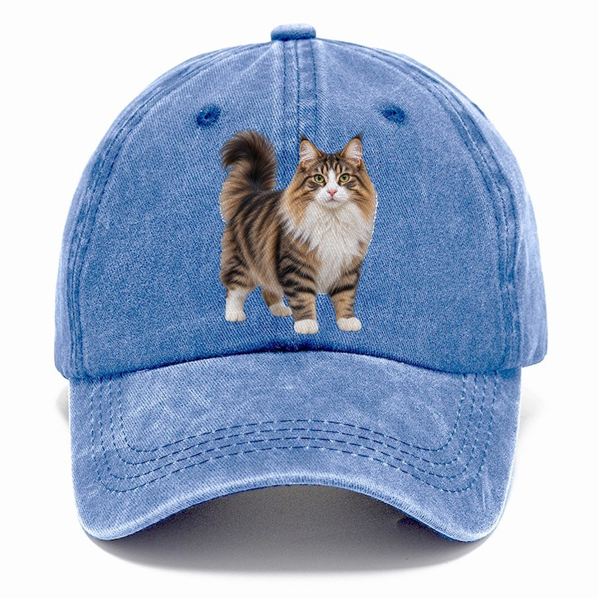 Norwegian Forest Cat Standing Three Quarter Realistic Cat Portrait Classic Cap – Summer Sky