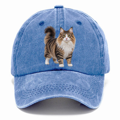 Norwegian Forest Cat Standing Three Quarter Realistic Cat Portrait Classic Cap – Summer Sky