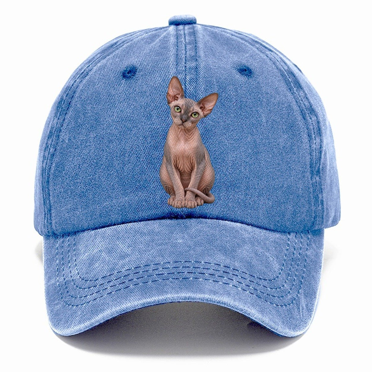 Sphynx Seated Portrait Realistic Cat Portrait Classic Cap – Summer Sky