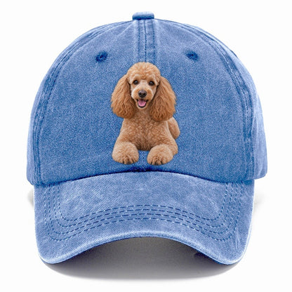 Poodle Sitting Top Breeds Classic Cap – Summer Sky