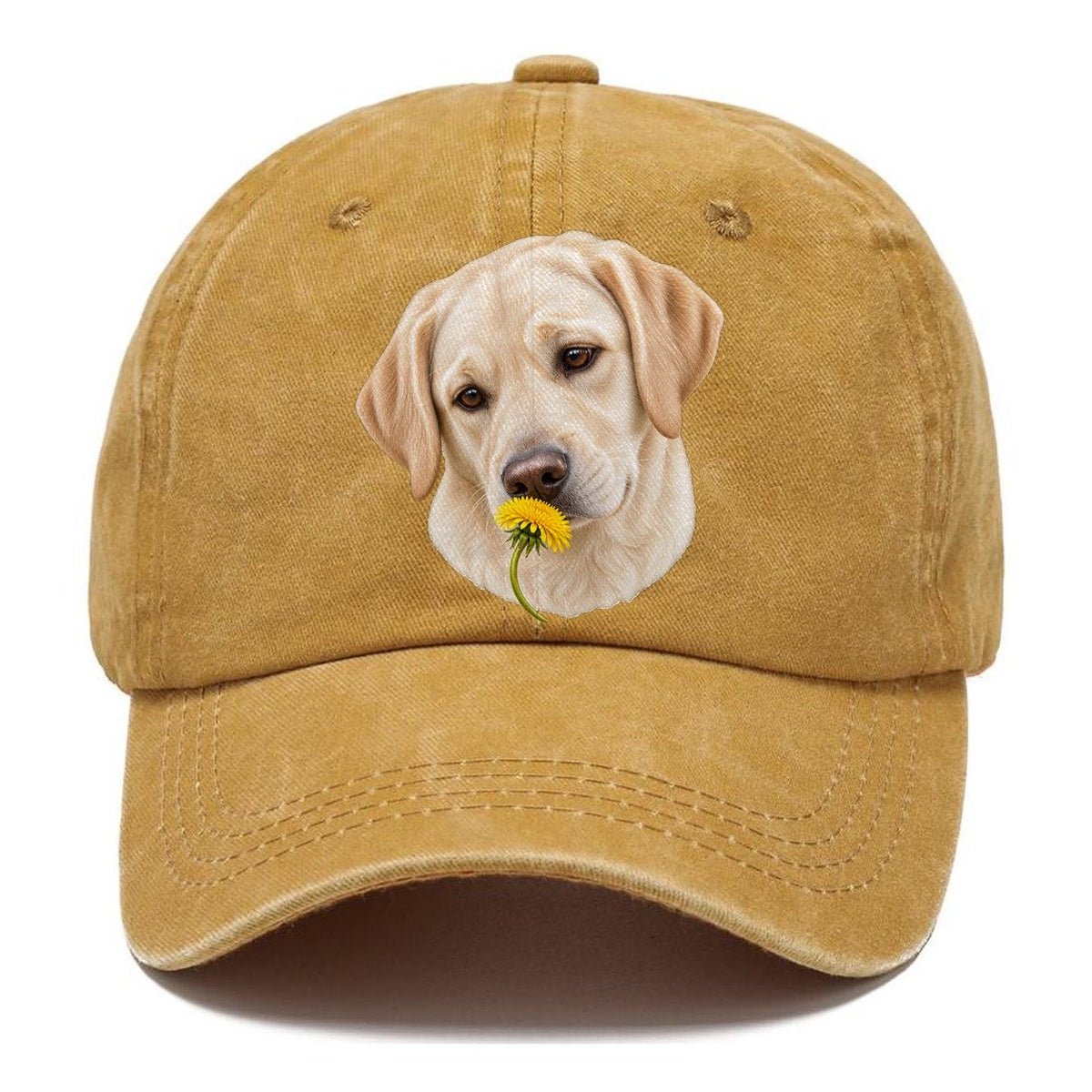 Cream Labrador Dandelion Pause Pastimes Companions Classic Cap – Golden Harvest