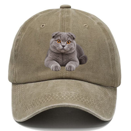 Scottish Fold Reclining Paws Forward Realistic Cat Portrait Classic Cap – Warm Sand