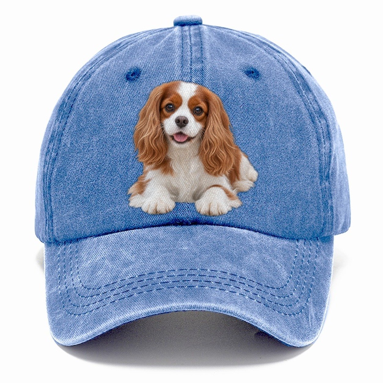 Cavalier King Charles Spaniel Lying Down Top Breeds Classic Cap – Summer Sky