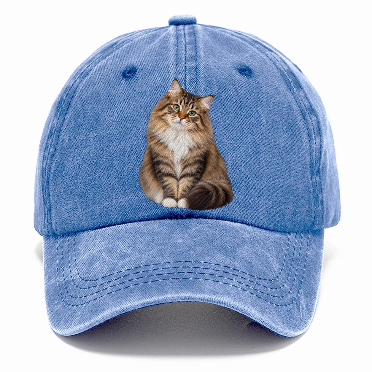 Siberian Seated Portrait Realistic Cat Portrait Classic Cap – Summer Sky