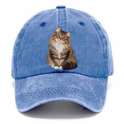 Siberian Seated Portrait Realistic Cat Portrait Classic Cap – Summer Sky