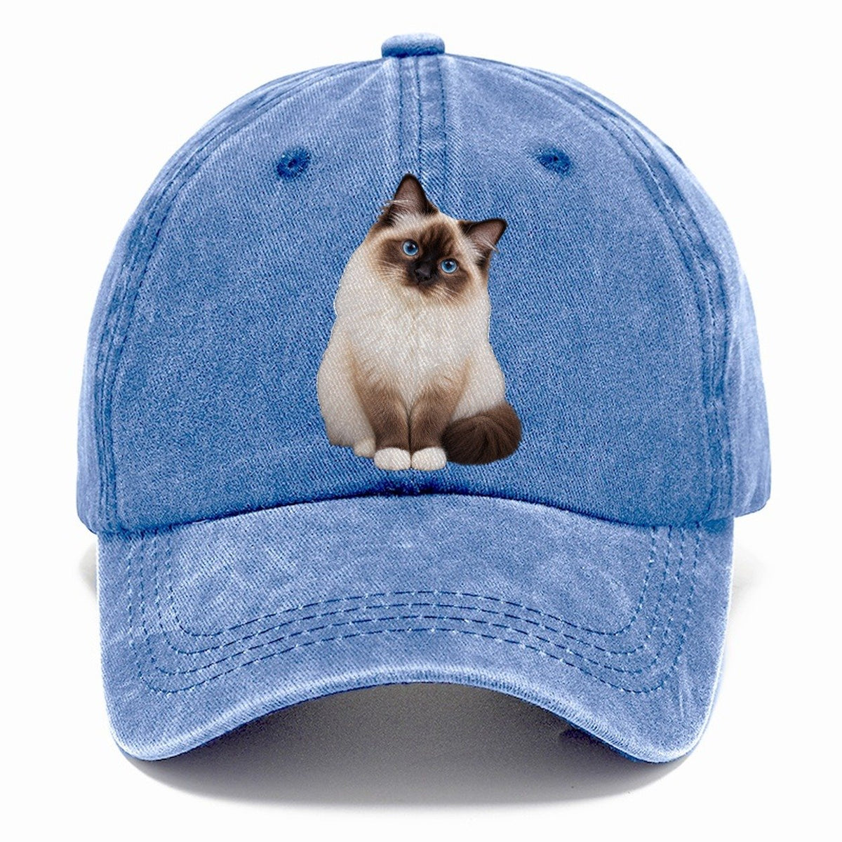 Birman Seated Portrait Realistic Cat Portrait Classic Cap – Summer Sky