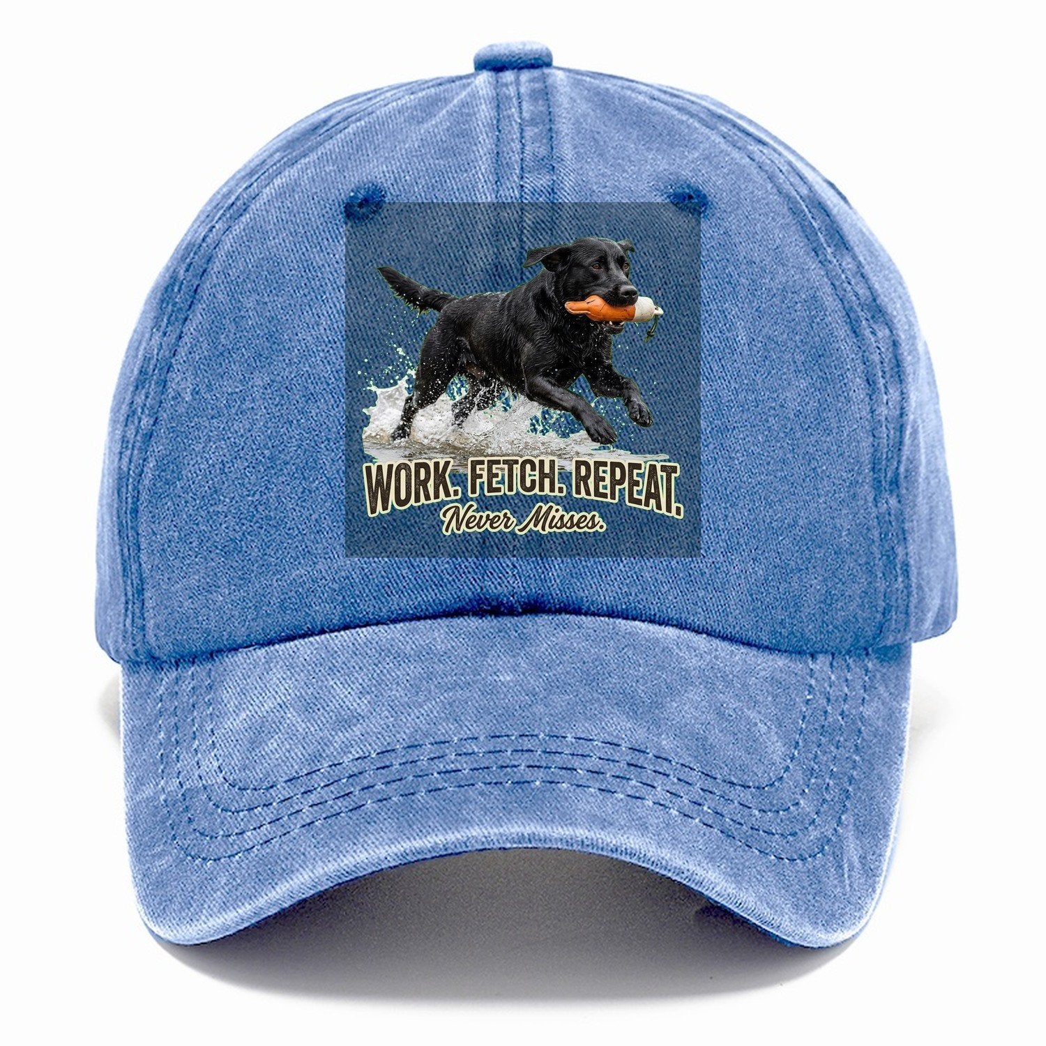 Work Fetch Repeat Classic Cap – Summer Sky