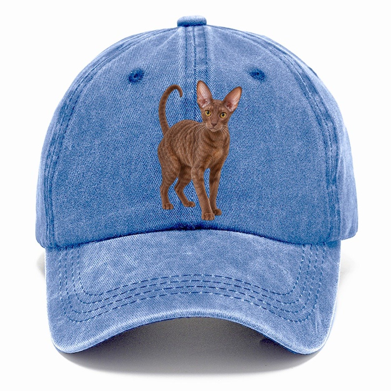 Cornish Rex Standing Three Quarter Realistic Cat Portrait Classic Cap – Summer Sky