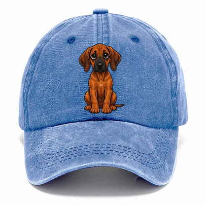 Rhodesian Ridgeback Sitting Sweetheart Classic Cap – Summer Sky