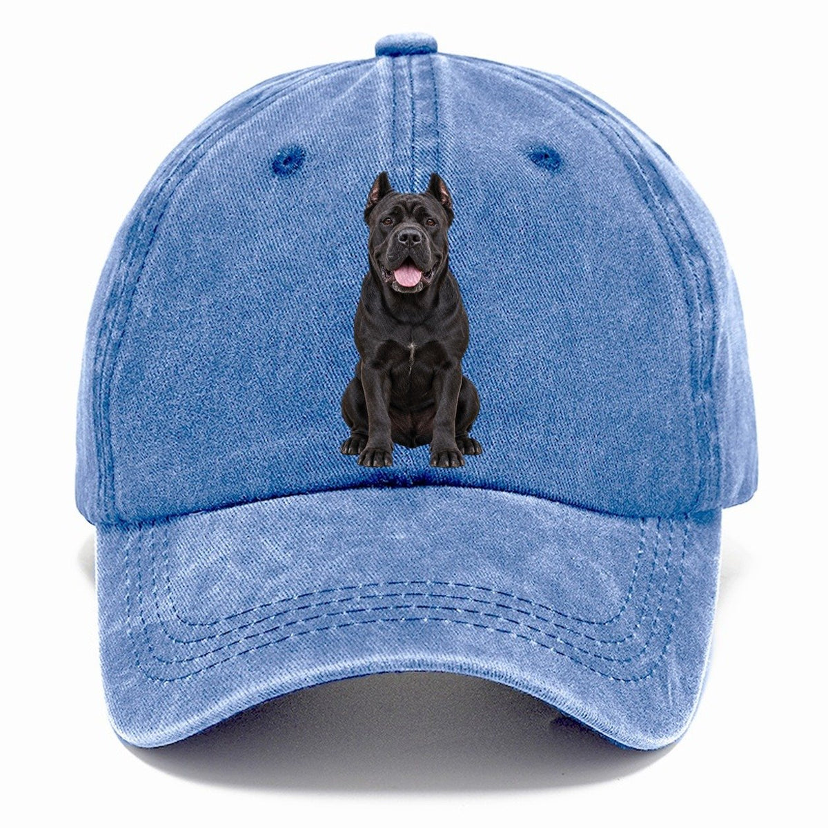 Cane Corso Sitting Top Breeds Classic Cap – Summer Sky