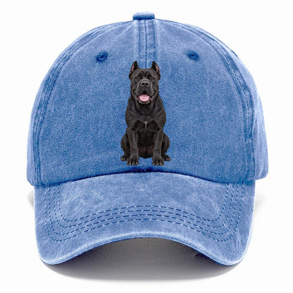 Cane Corso Sitting Top Breeds Classic Cap – Summer Sky