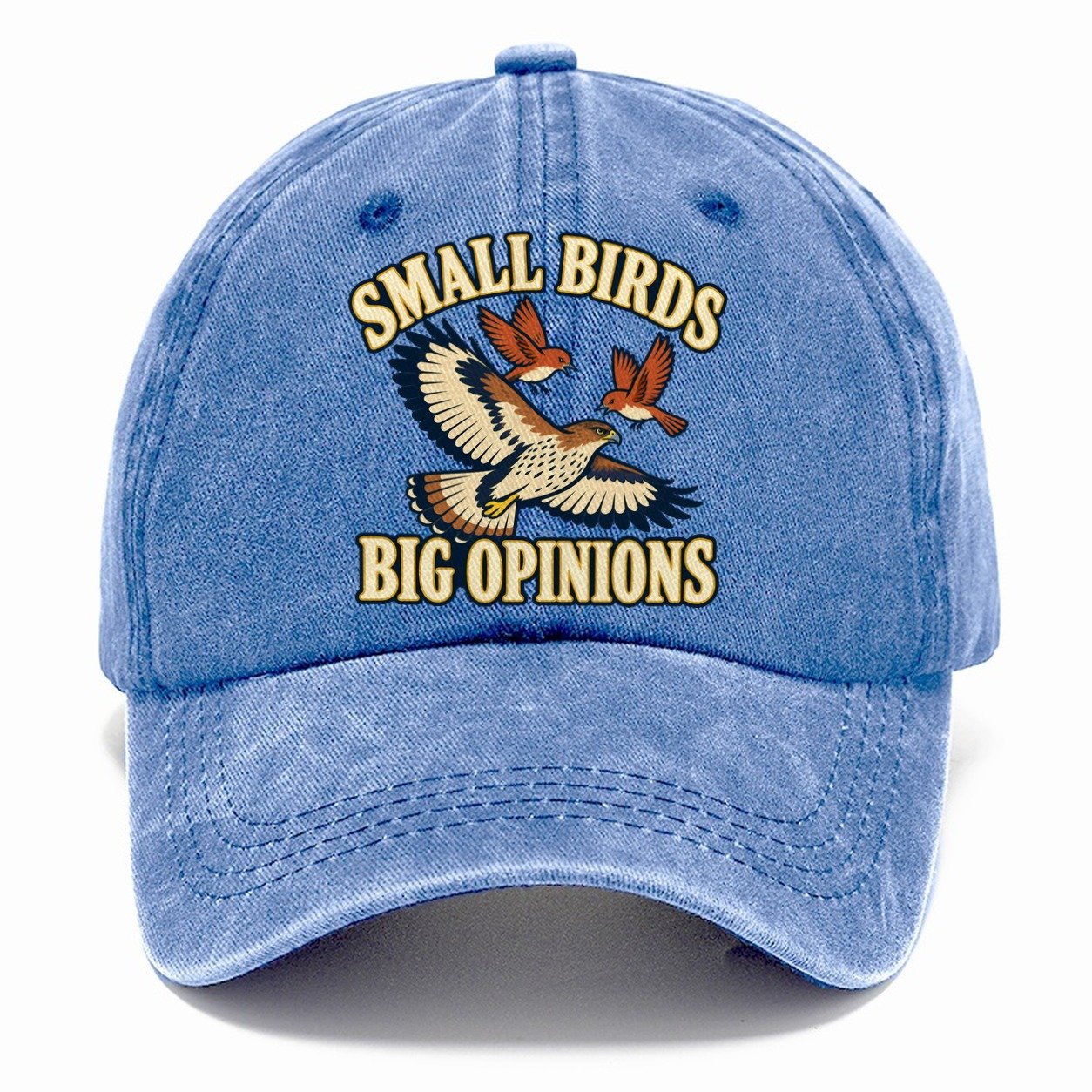 Small Birds Big Opinions Birdwatching Classic Cap – Summer Sky