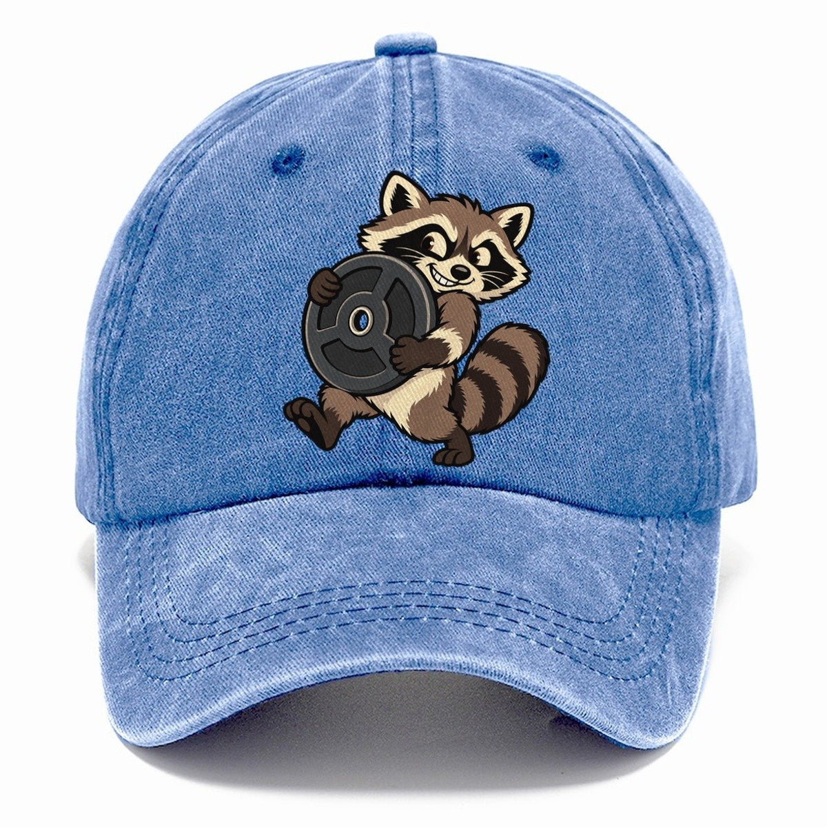Raccoon Plate Thief Animal Lifters Classic Cap – Summer Sky