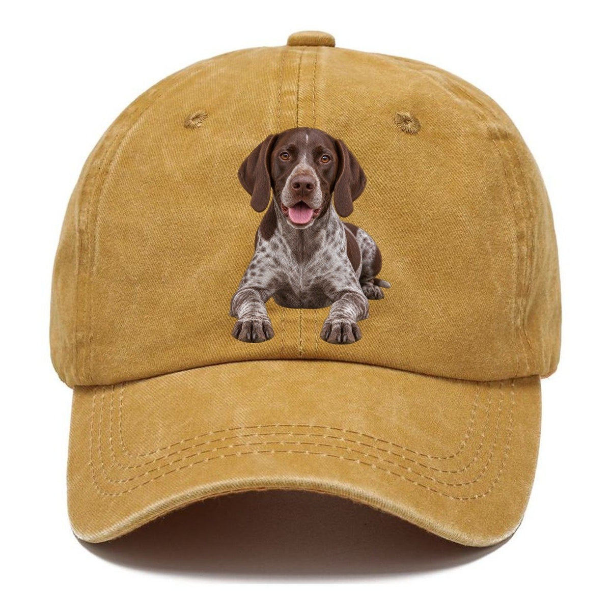 German Shorthaired Pointer Lying Down Top Breeds Classic Cap – Golden Harvest