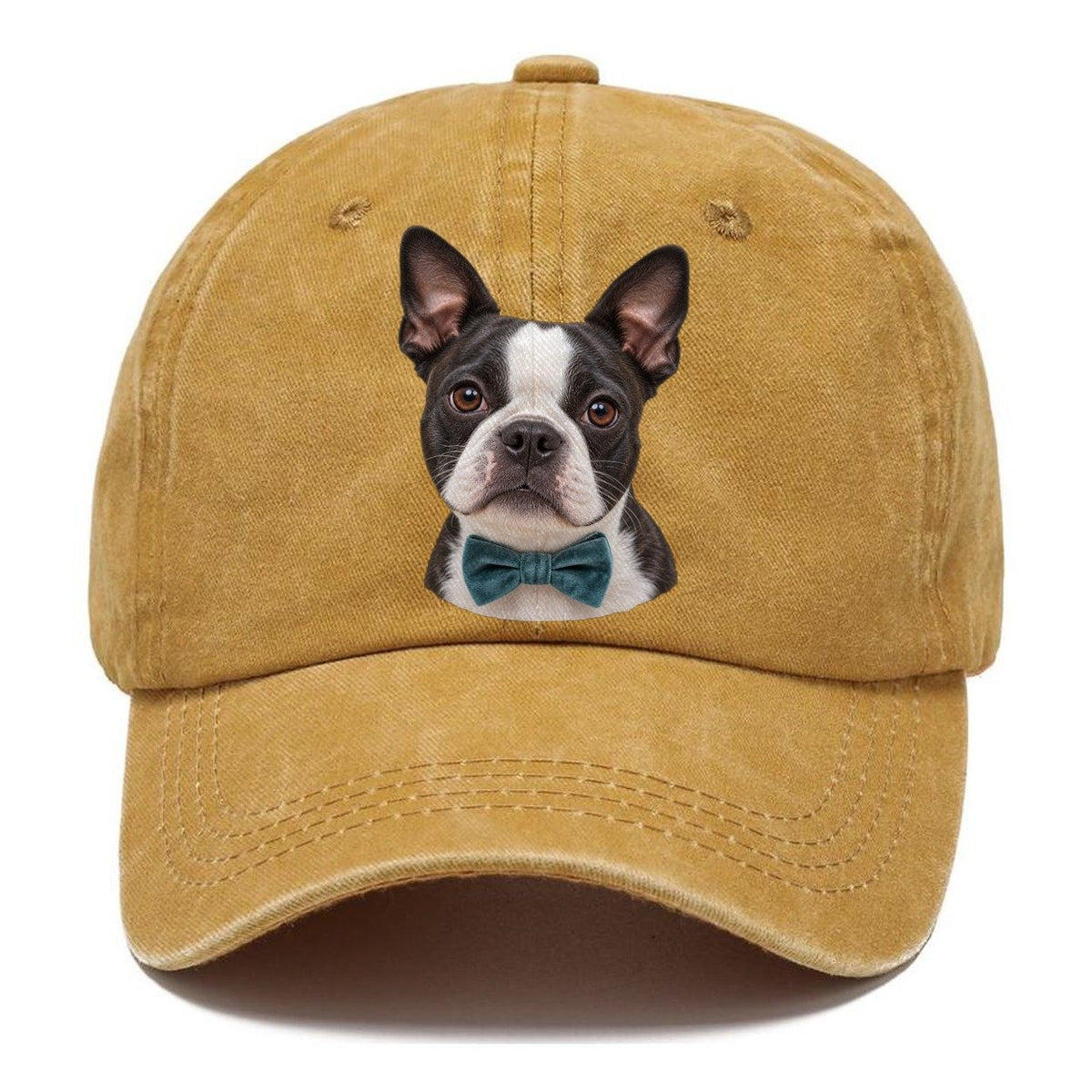 Boston Terrier Velvet Bow Character Club Classic Cap – Golden Harvest
