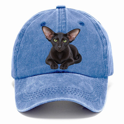 Oriental Shorthair Reclining Paws Forward Realistic Cat Portrait Classic Cap – Summer Sky